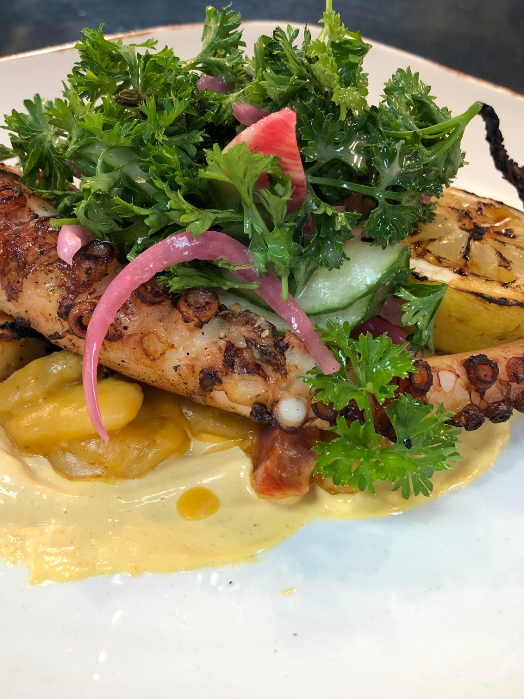 IMG_4614.jpeg IMG_4614.jpeg