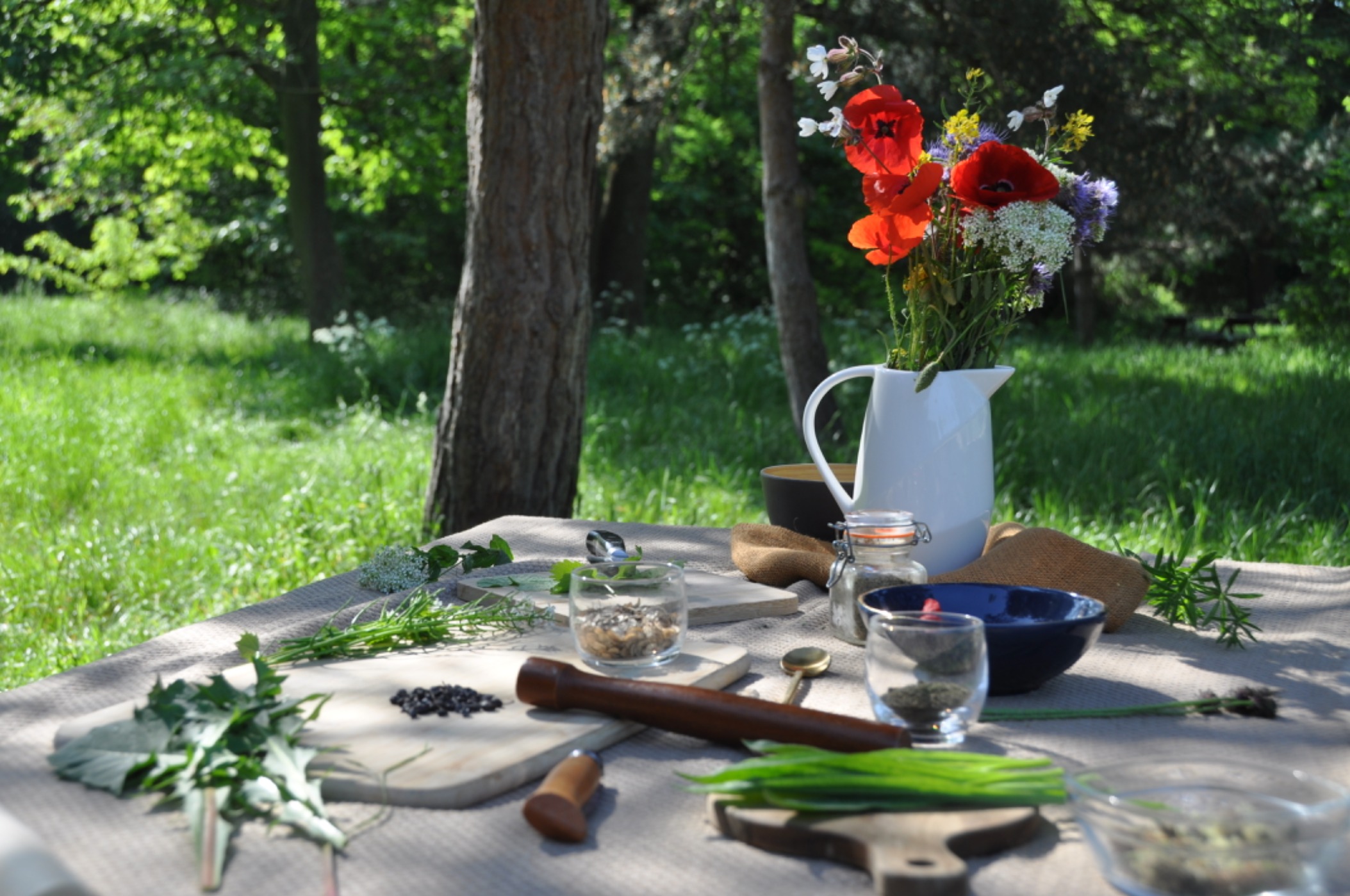 CAUCALIS DEGUSTATION SAUVAGE.JPG