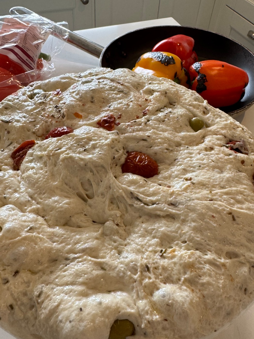 IMG_7418.jpeg IMG_7418.jpeg