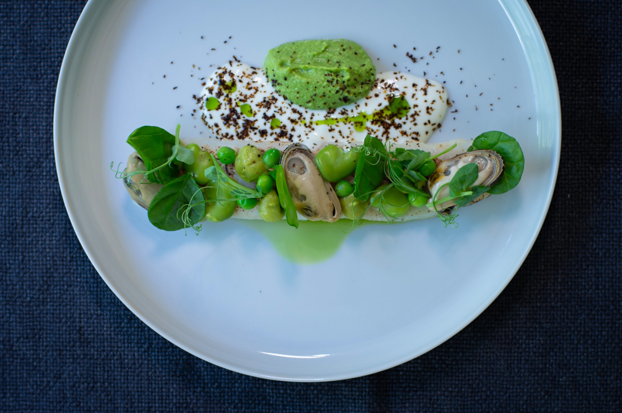 20240402Rodrigo_0127-Enhanced-NR copy.jpg