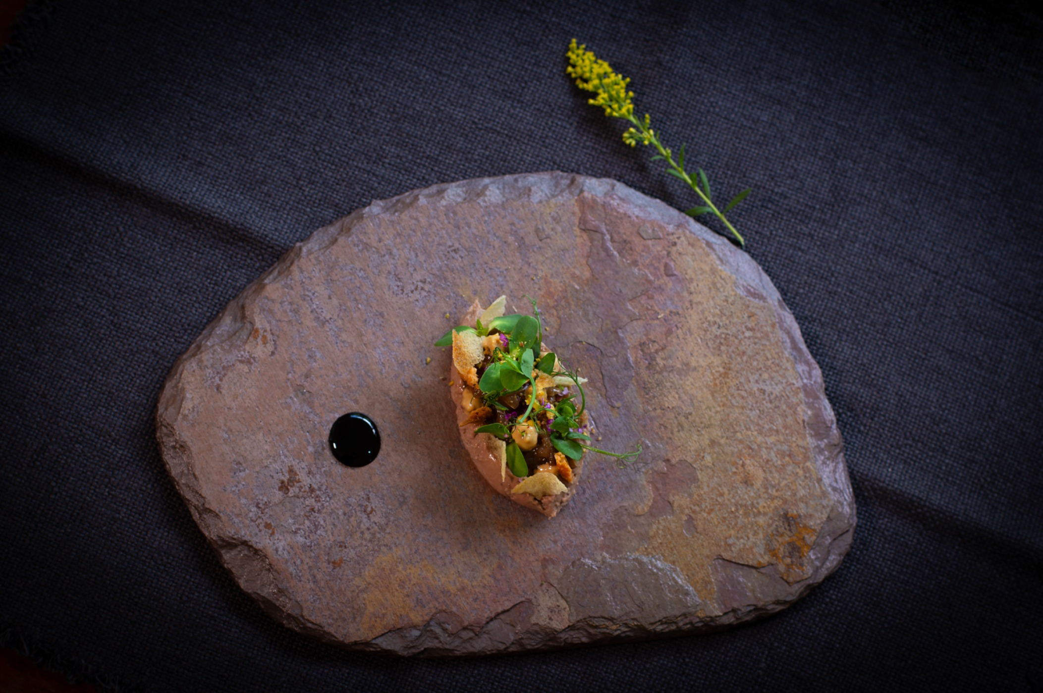 20240402Rodrigo_0064-Enhanced-NR copy.jpg