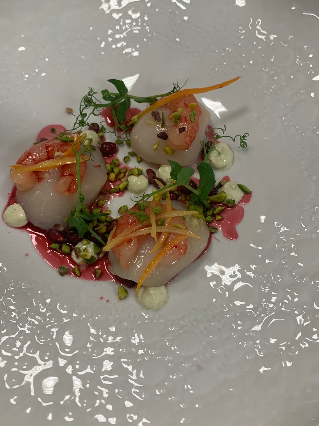 IMG_0466.jpeg IMG_0466.jpeg