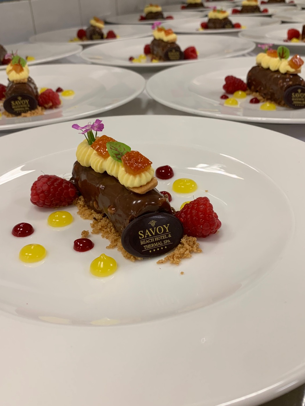 IMG_0484.jpeg IMG_0484.jpeg