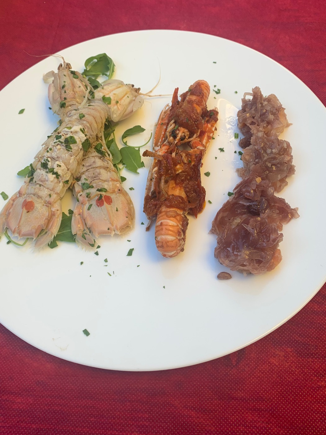 IMG_0090.jpeg IMG_0090.jpeg