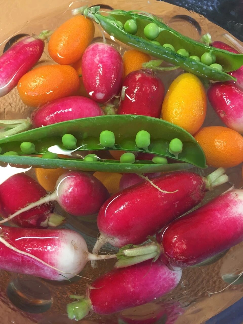 IMG_0160.jpeg IMG_0160.jpeg