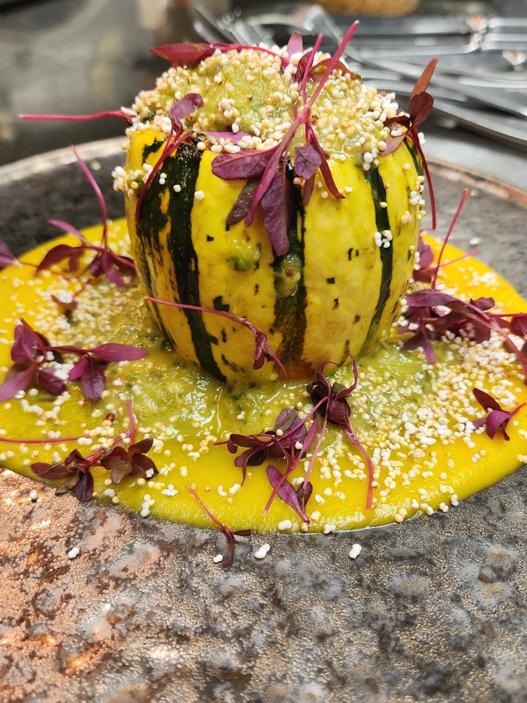 1000013113.jpg 1000013113.jpg