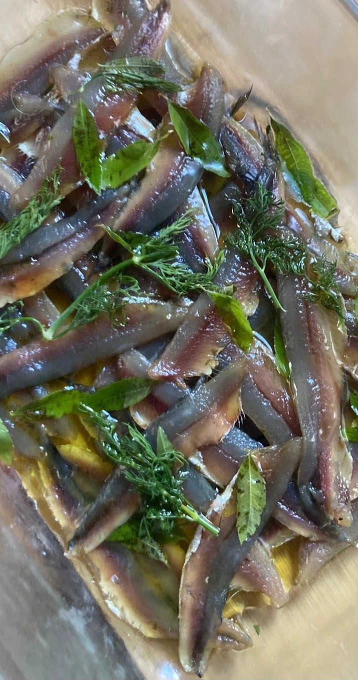 WhatsApp Image 2026-01-06 at 20.59.58.jpeg