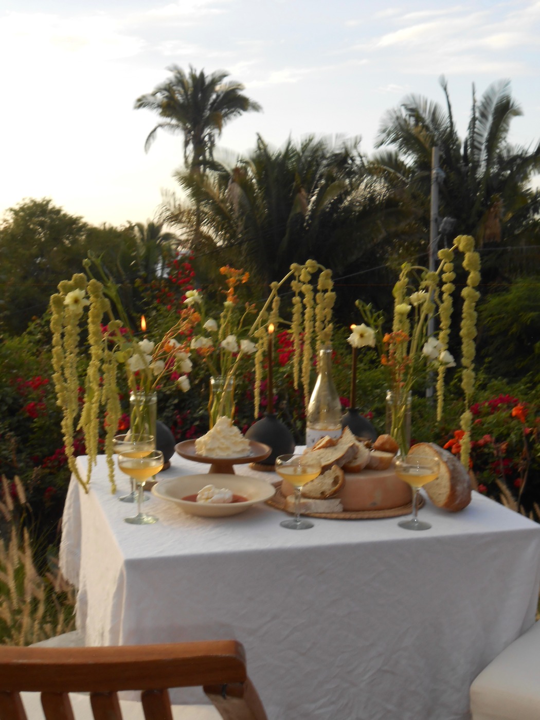 DSCN1499.JPG DSCN1499.JPG