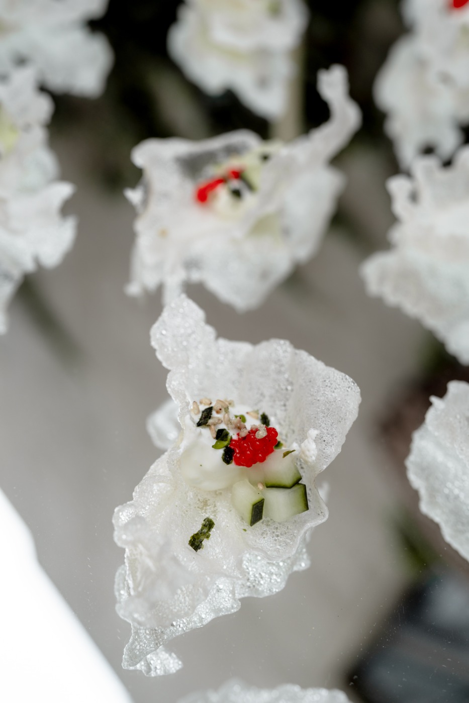 Mexico-city-collab-6.jpg Mexico-city-collab-6.jpg