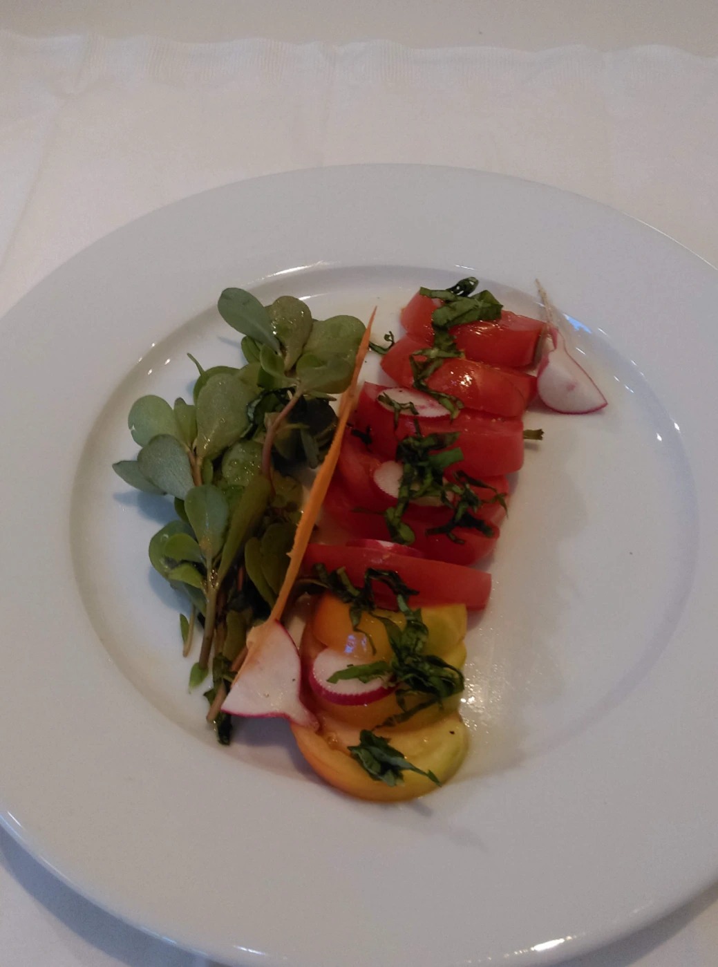 Ensaladaverdolaga.jpg Ensaladaverdolaga.jpg