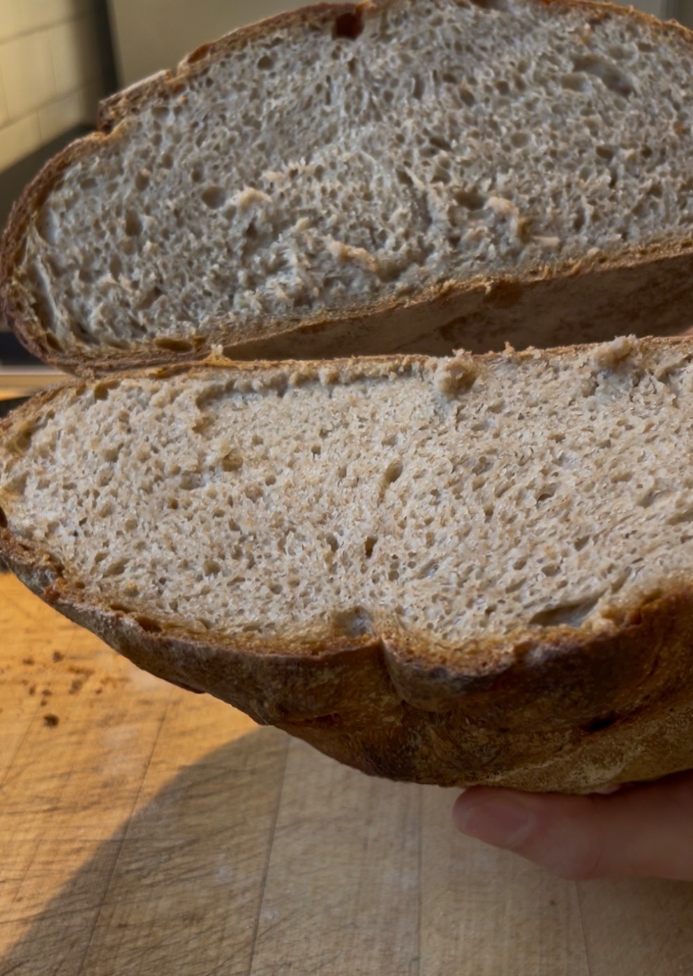 IMG_2775.jpeg IMG_2775.jpeg