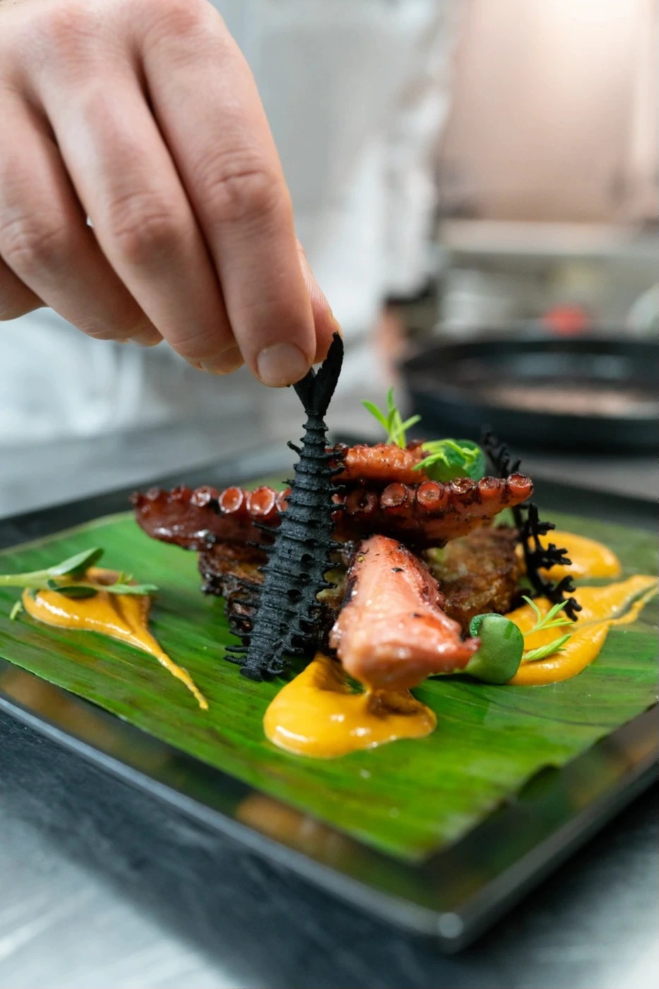 1002479.jpg 1002479.jpg