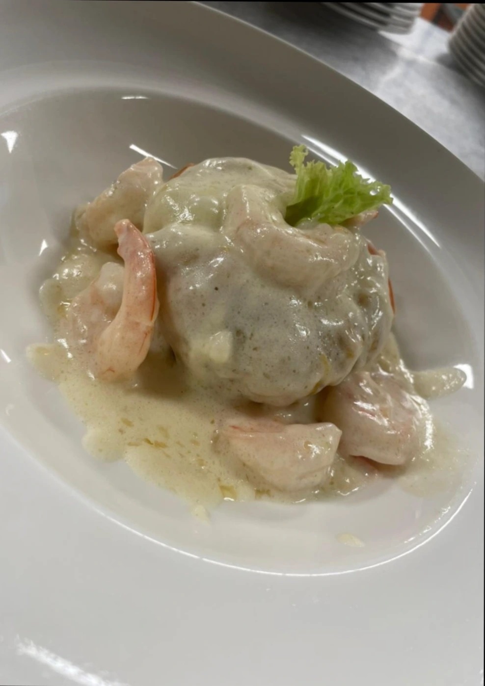 IMG_20260107_121556.jpg IMG_20260107_121556.jpg