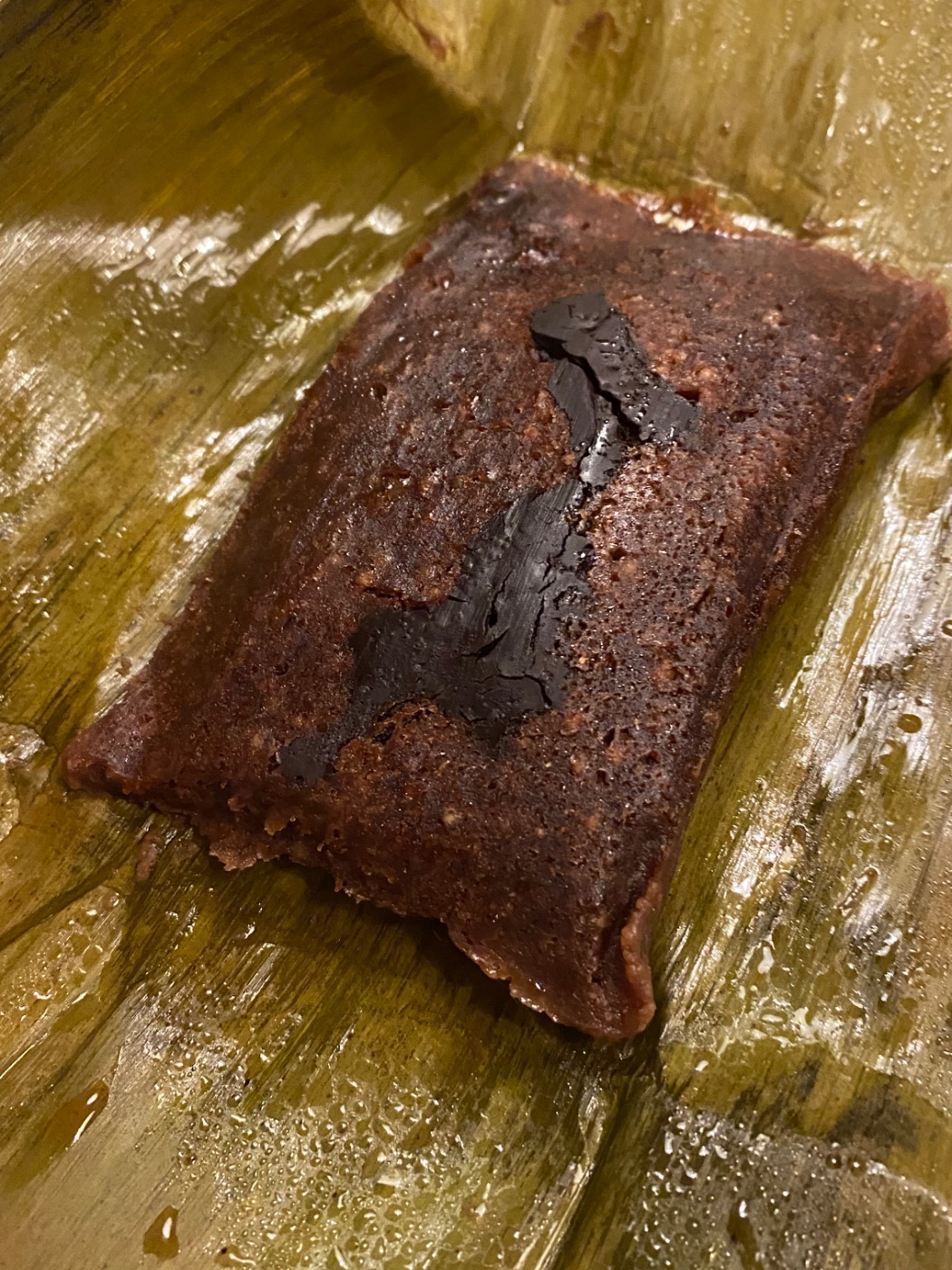 IMG_7719.jpeg IMG_7719.jpeg