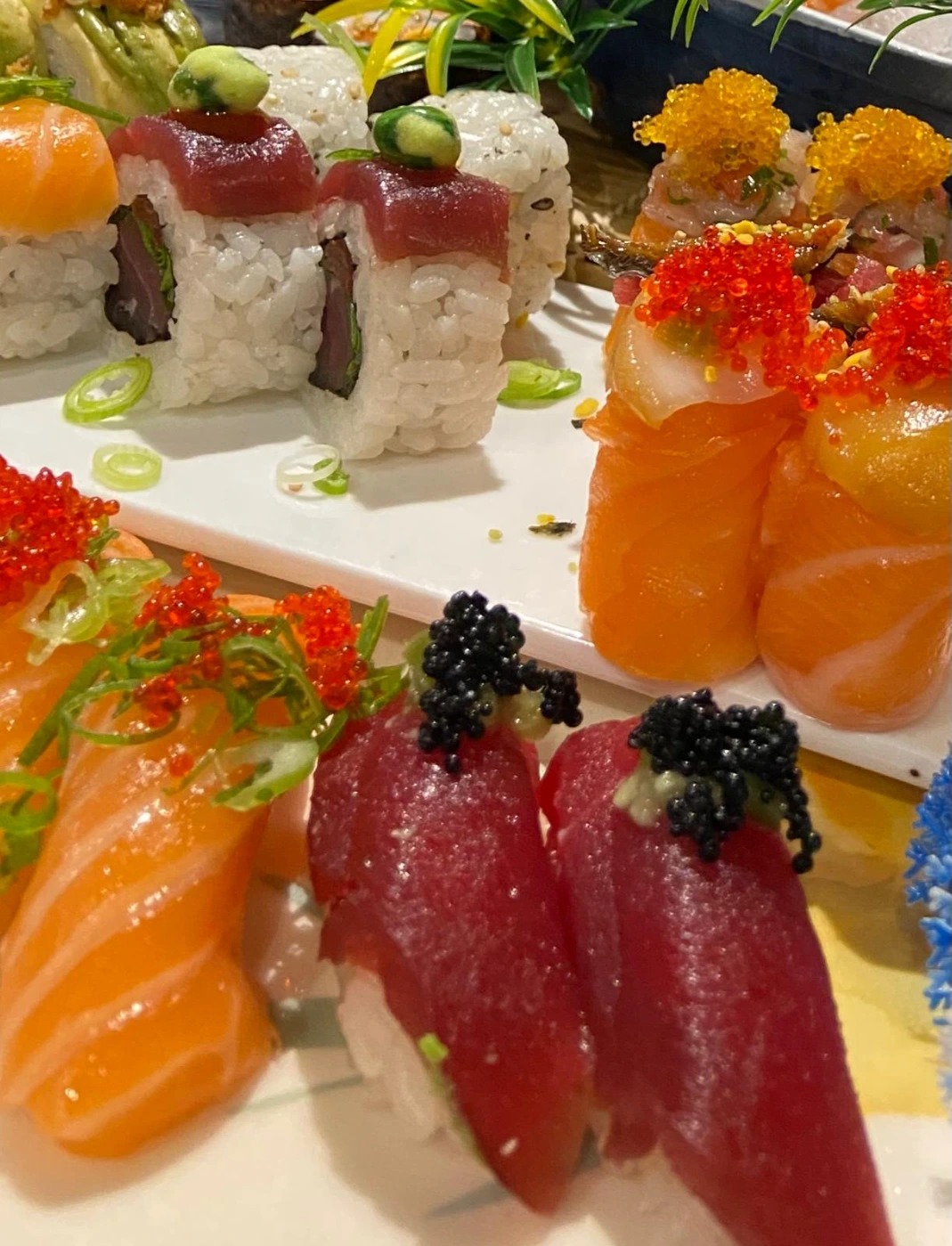 WhatsApp Image 2026-01-08 at 15.09.20.jpeg