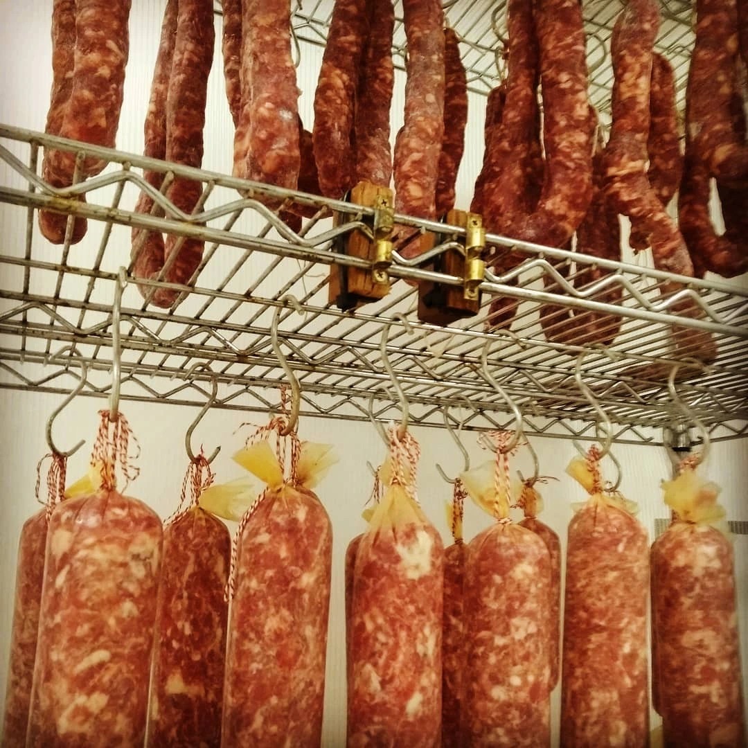 WhatsApp Image 2026-01-08 at 16.51.44.jpeg WhatsApp Image 2026-01-08 at 16.51.44.jpeg