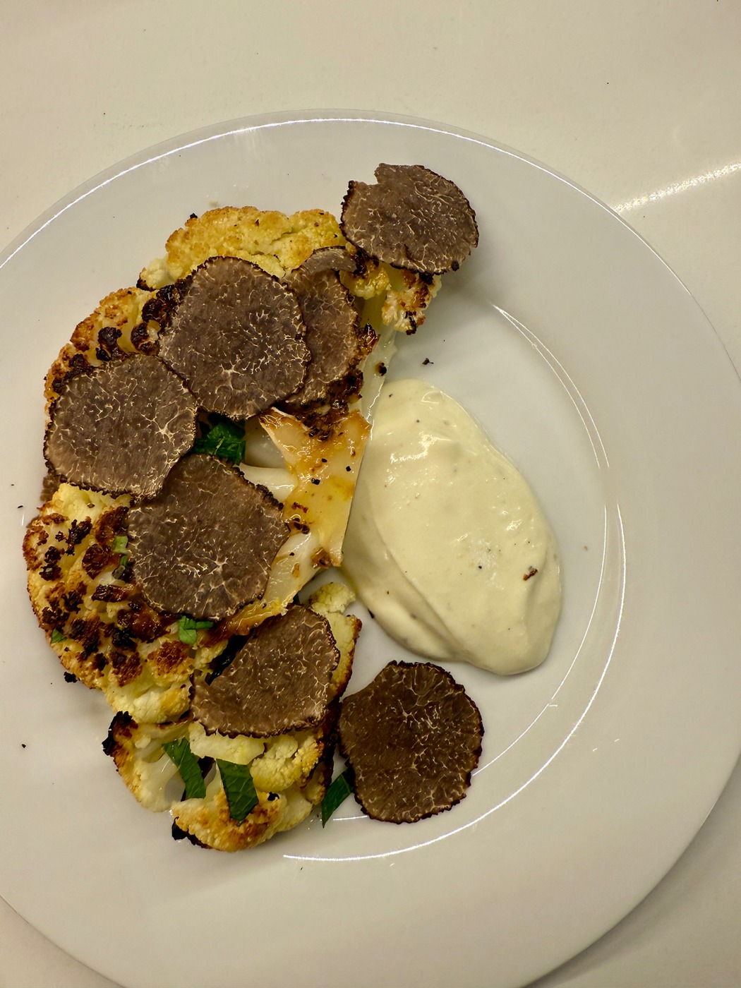 IMG_6942.jpeg IMG_6942.jpeg