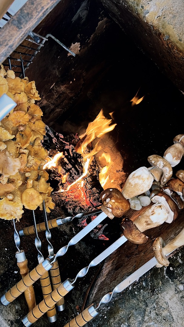 bbq