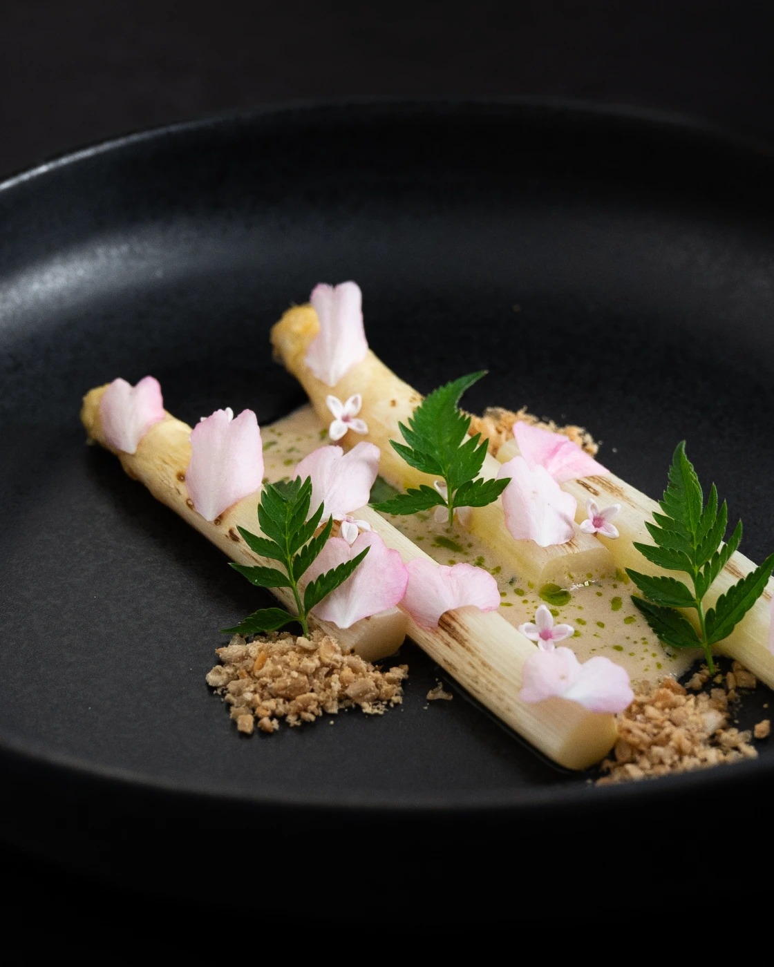 fermented asparagus, sunflower seeds, nettle oil, cherry blossom zoom.jpg
