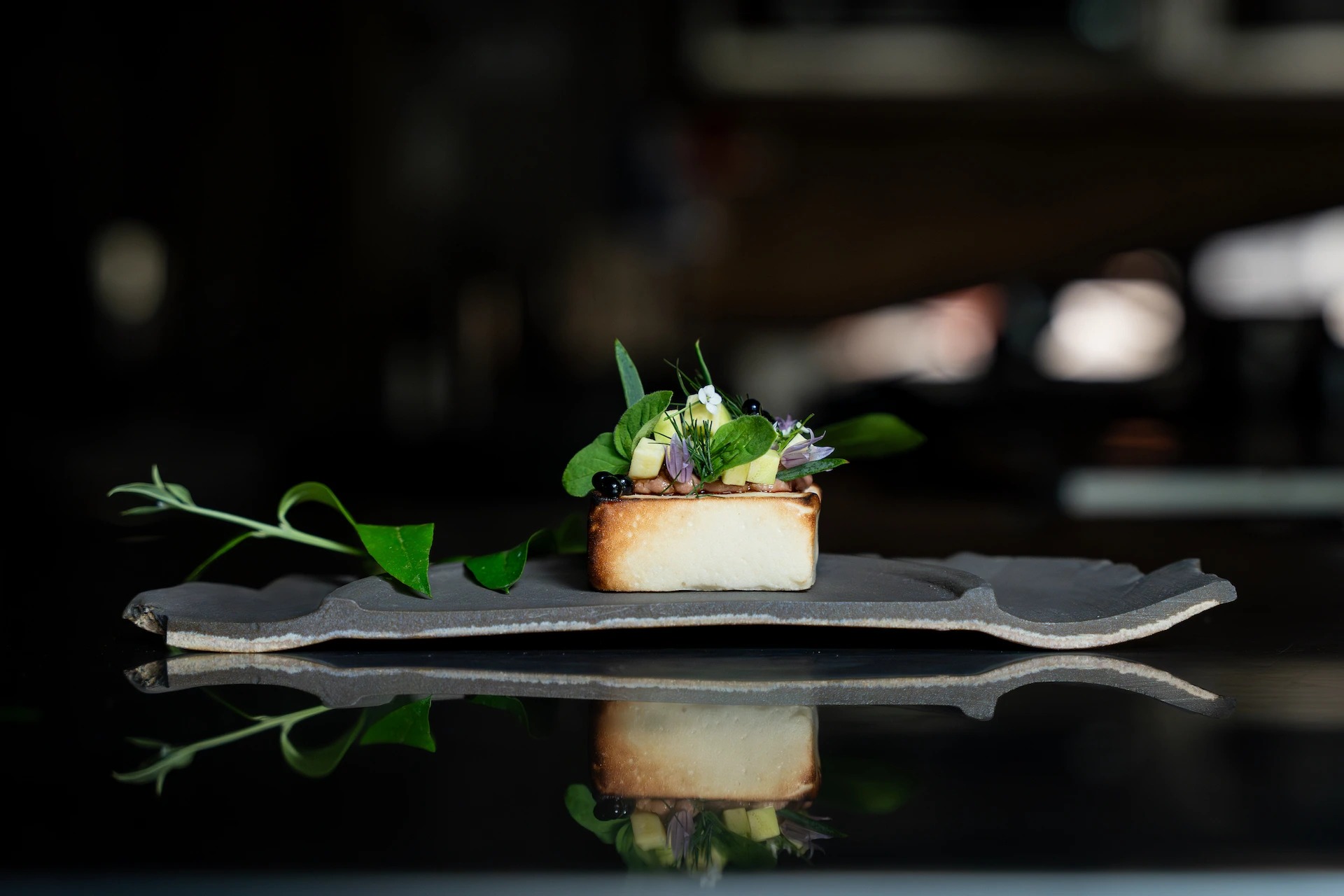 SYCA_2.jpg SYCA_2.jpg