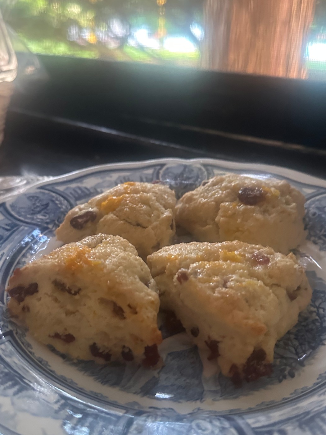 IMG_1054.jpeg IMG_1054.jpeg