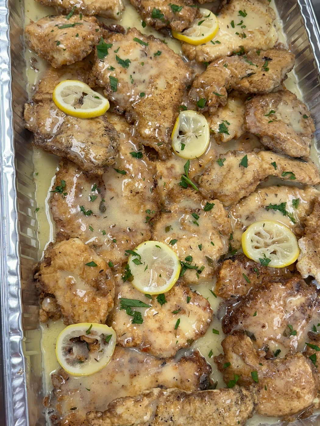 IMG_8960.jpeg IMG_8960.jpeg