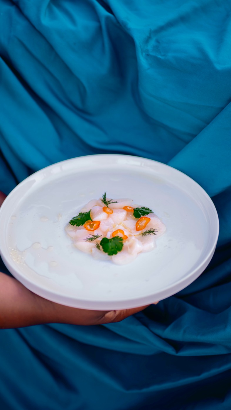 1142566.jpg 1142566.jpg