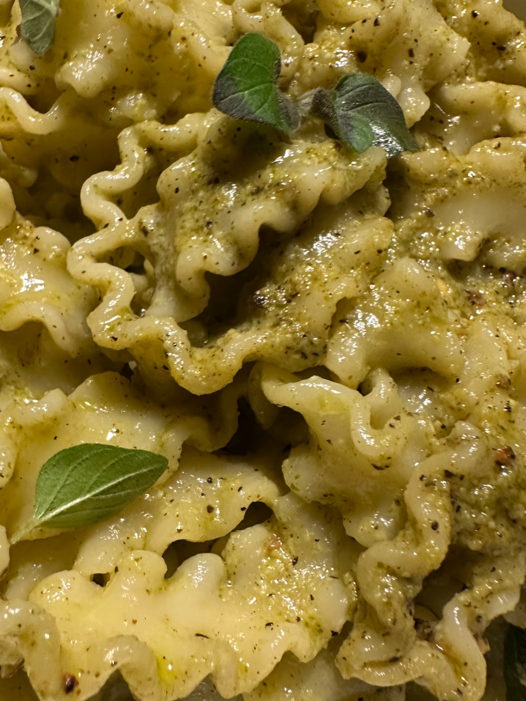 IMG_0408.jpeg IMG_0408.jpeg