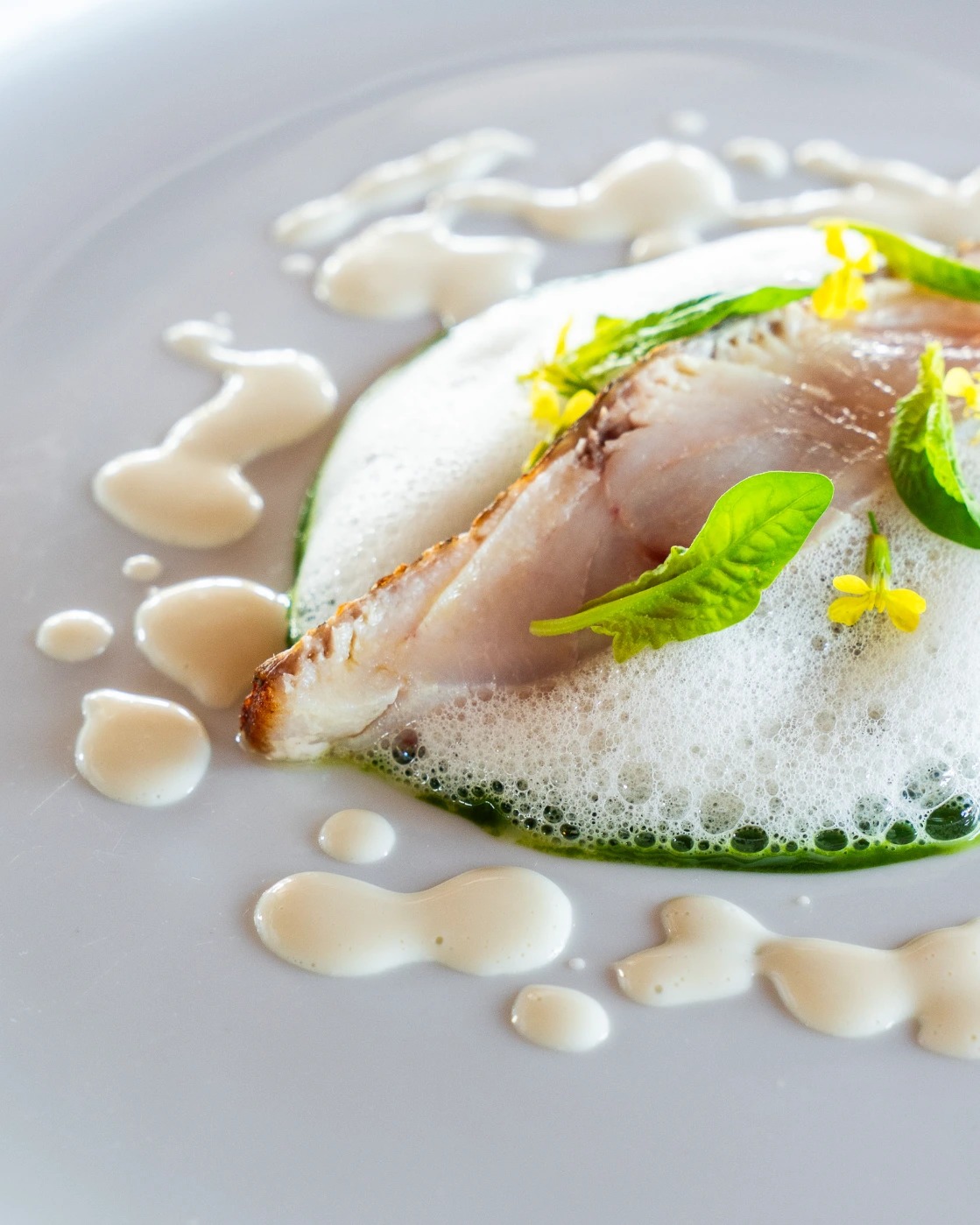 inbound4050401580994063684.jpg inbound4050401580994063684.jpg