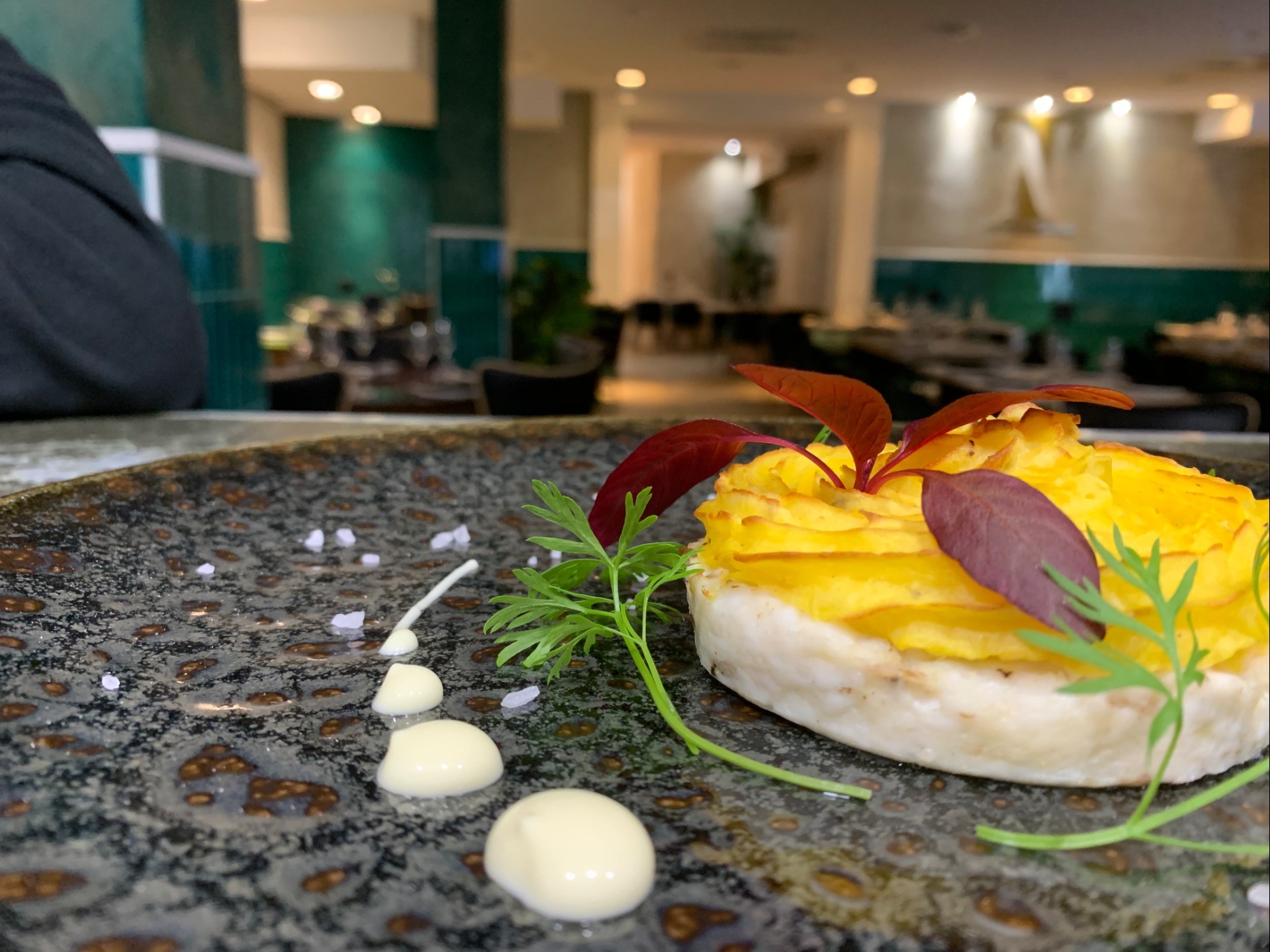 IMG_4734.jpeg IMG_4734.jpeg