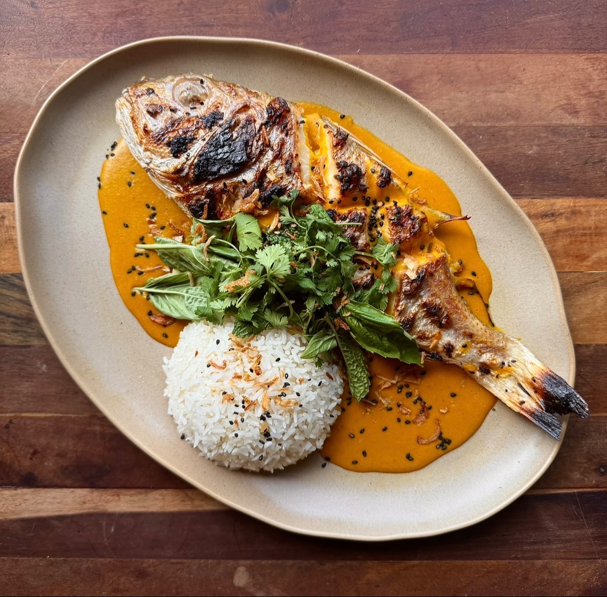 IMG_0516.jpeg IMG_0516.jpeg