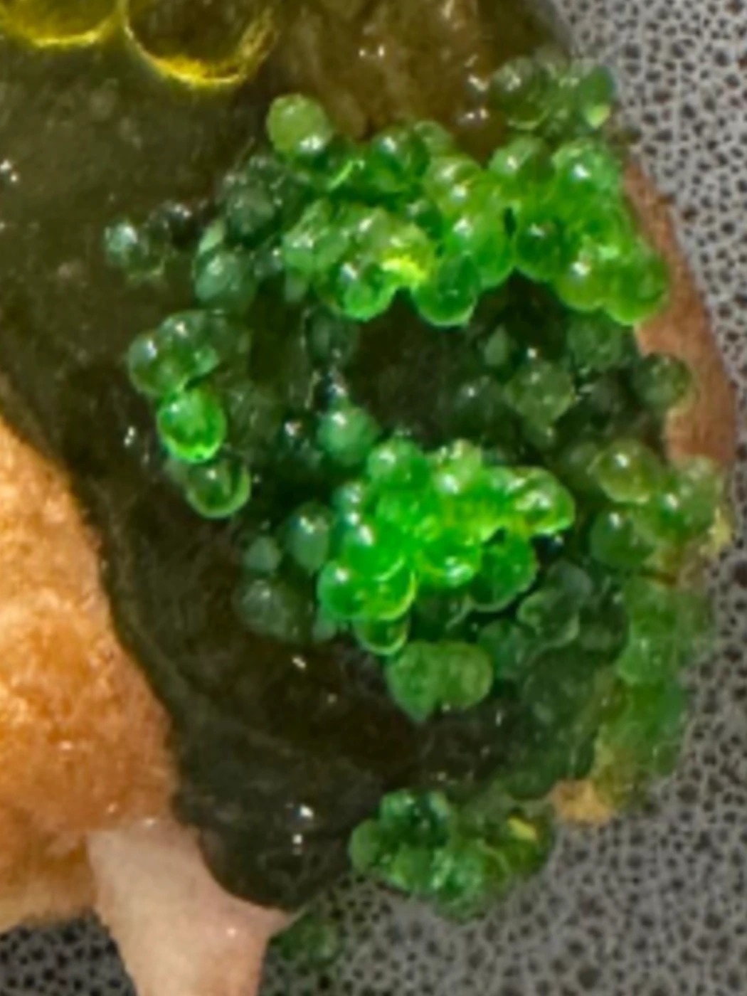 1000089784.jpg 1000089784.jpg