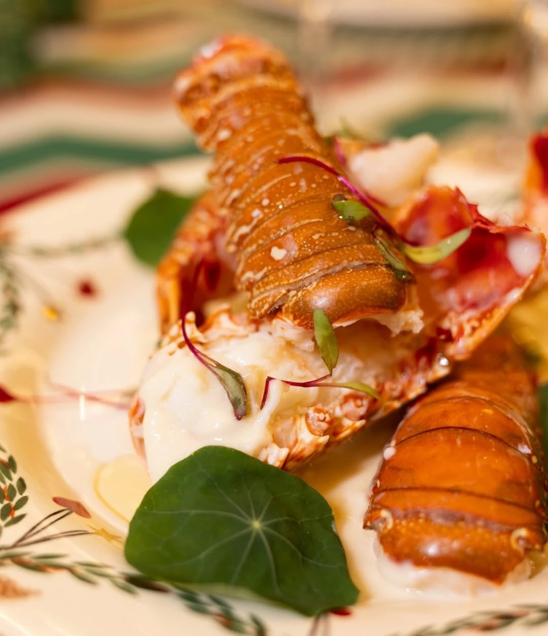 1000046412.jpg 1000046412.jpg