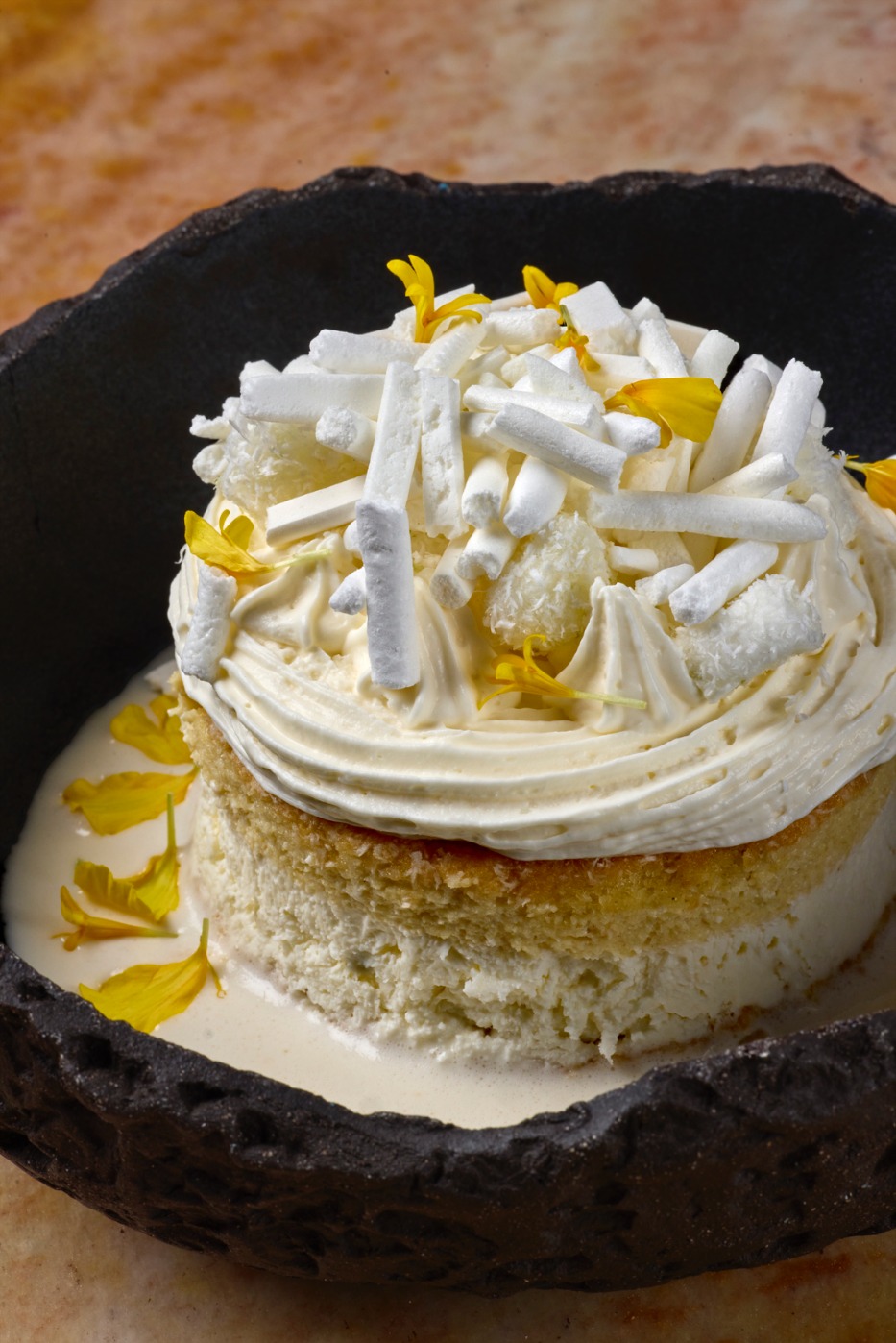 IMG_0081.jpeg IMG_0081.jpeg