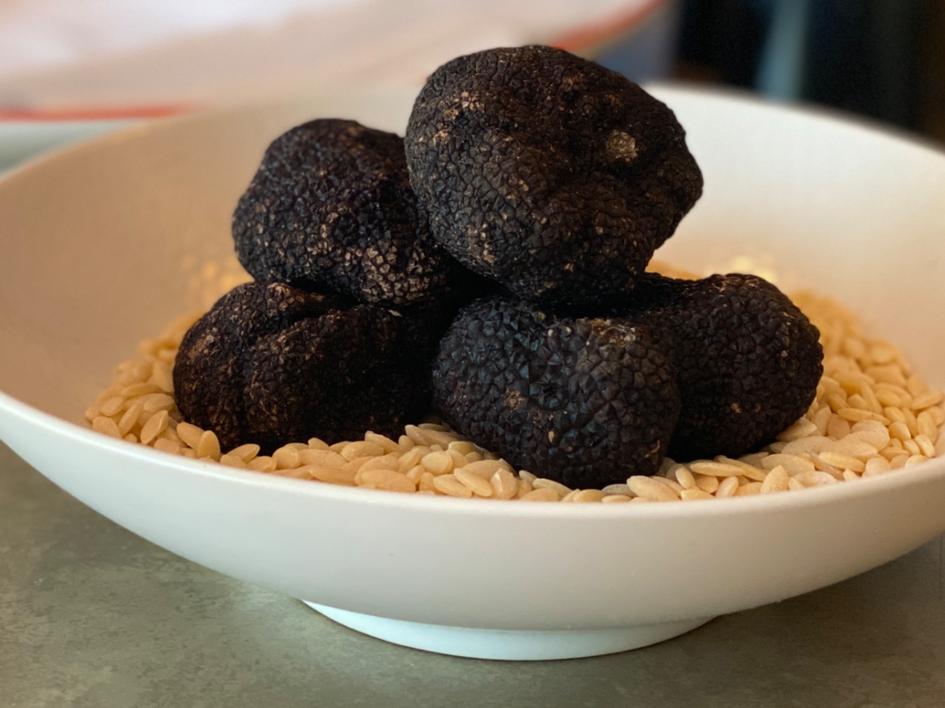 IMG_6122.jpeg IMG_6122.jpeg