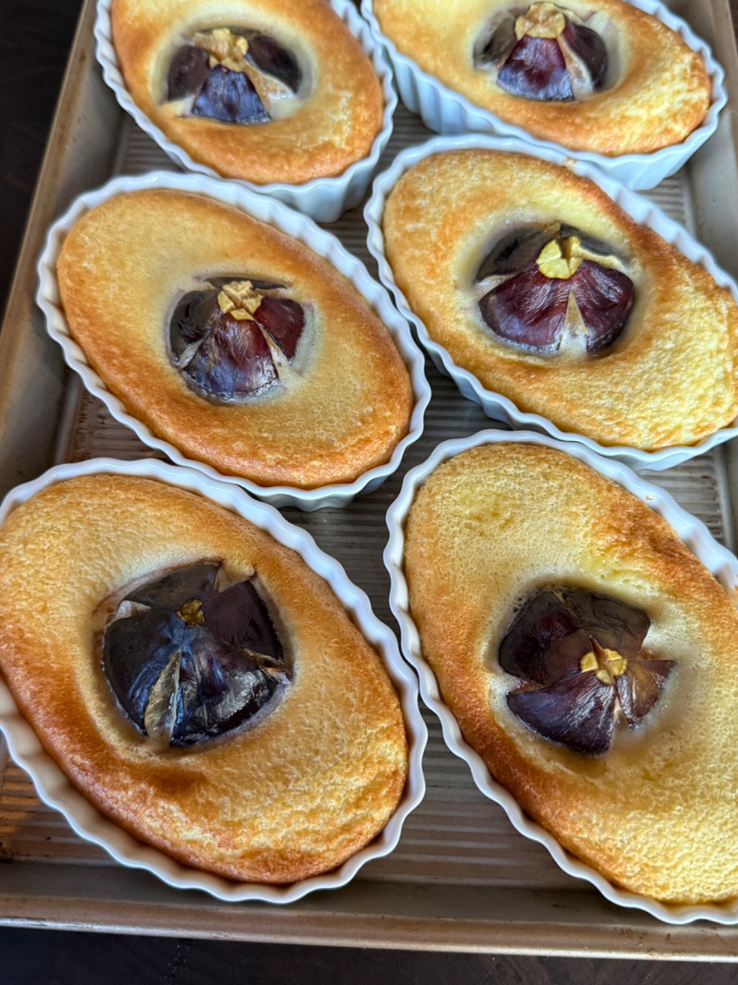 IMG_0417.jpeg IMG_0417.jpeg