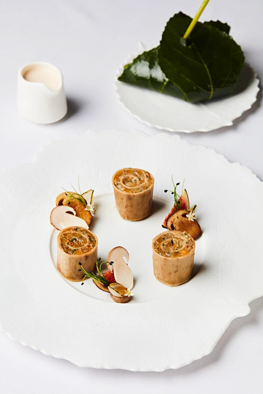 Steven Joyce-JOS2024063D00015.jpg