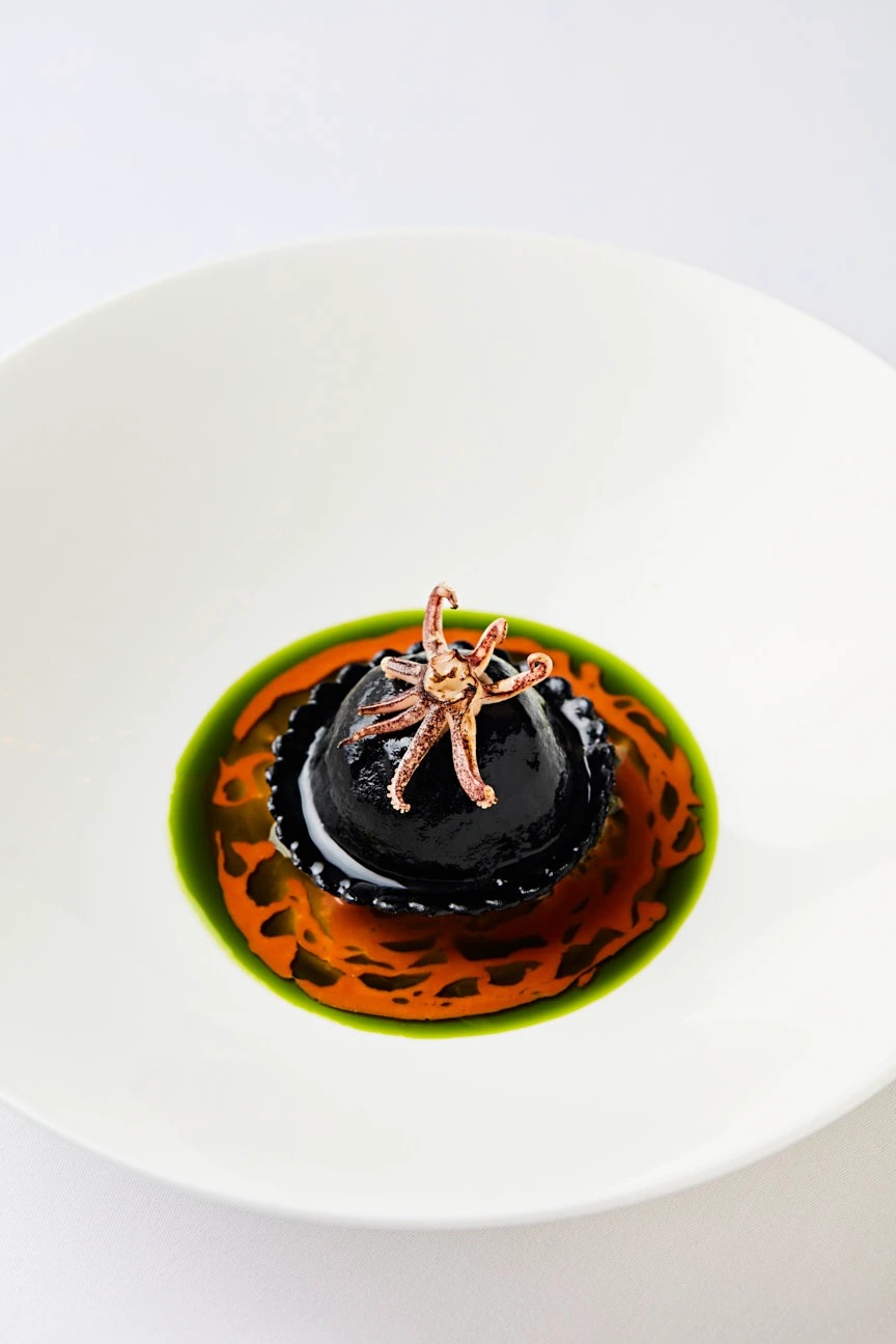 Steven Joyce-JOS2024063D00070.jpg