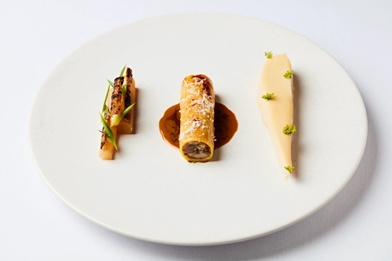 Steven Joyce-JOS2024063D00062.jpg