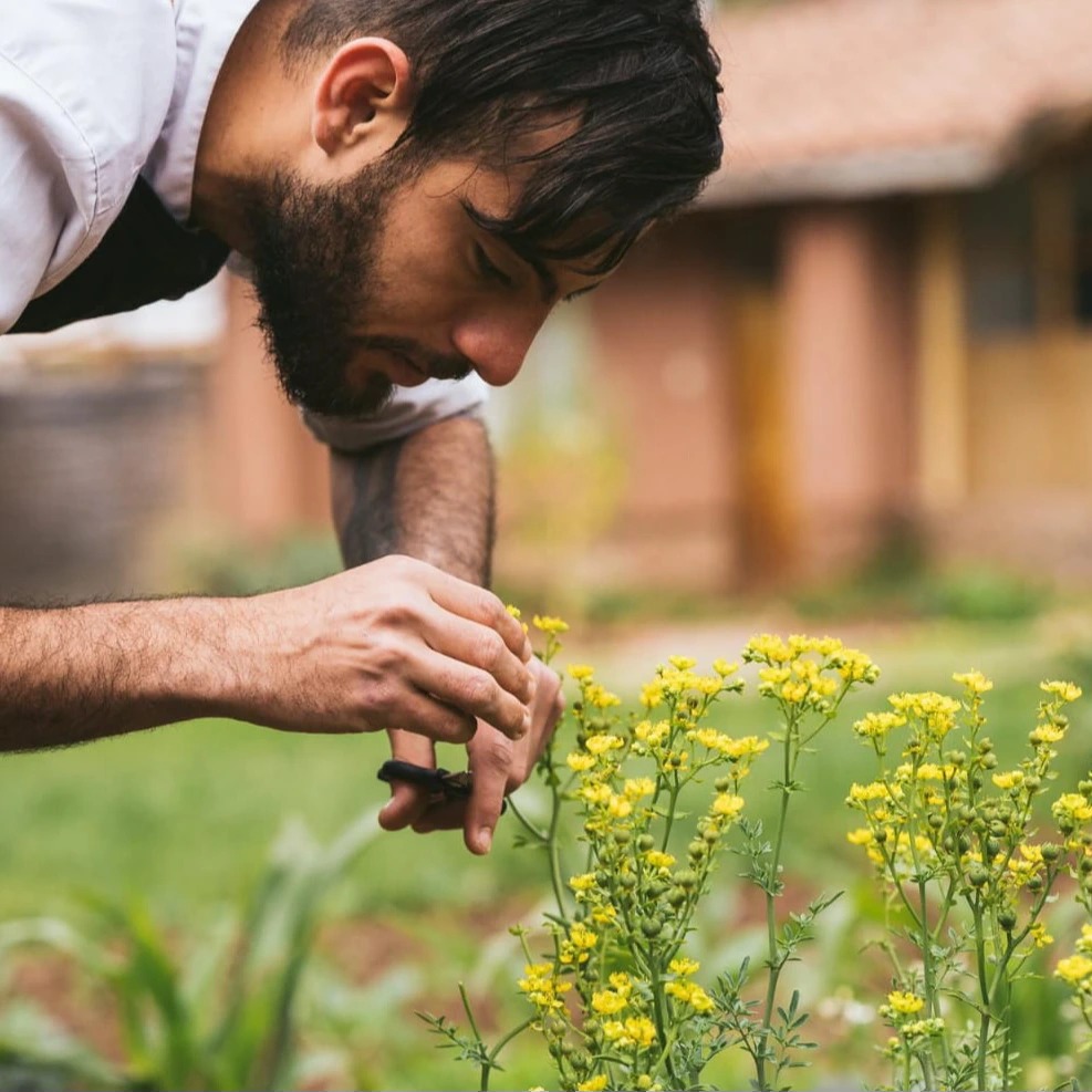 Foto de Mateo Teran Rayo