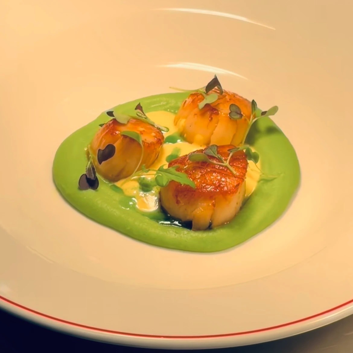 IMG_0880.jpeg IMG_0880.jpeg