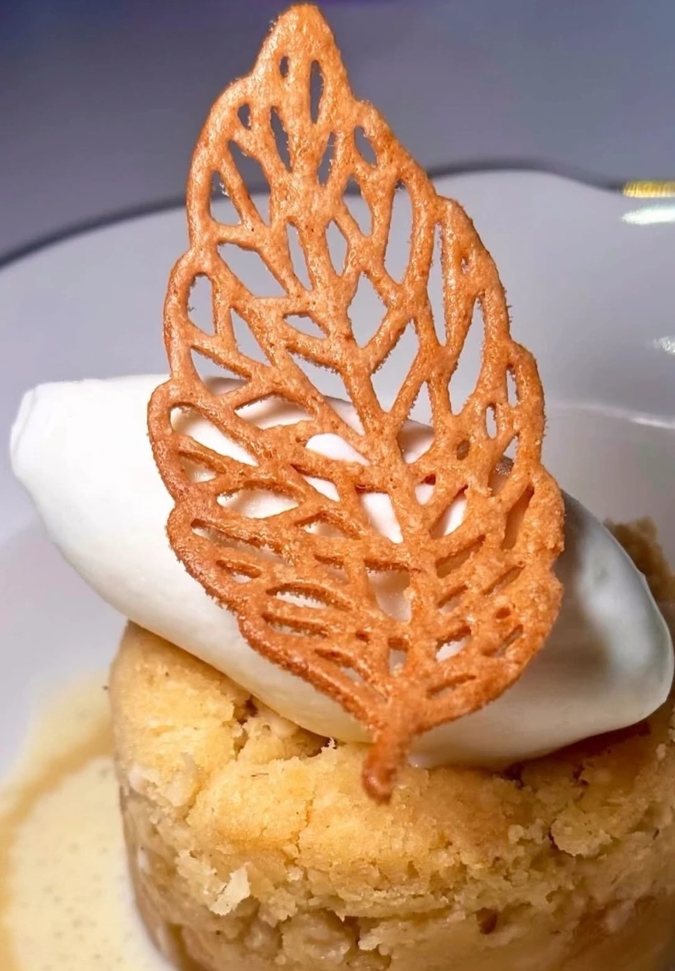 IMG_0858.jpeg IMG_0858.jpeg