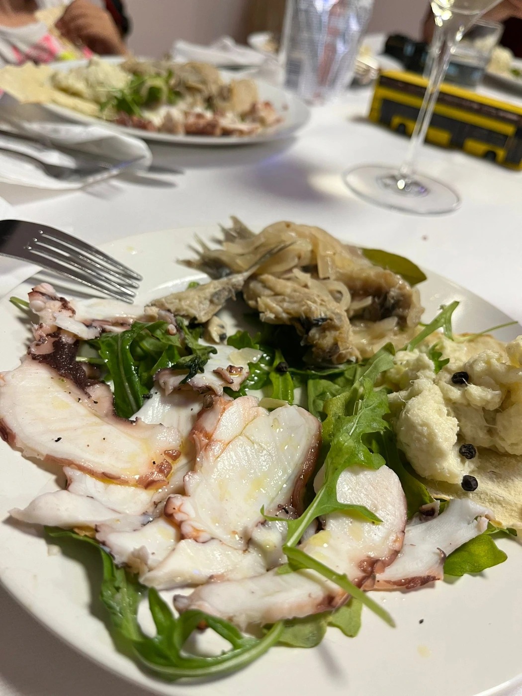 WhatsApp Image 2023-08-19 at 20.19.12.jpeg