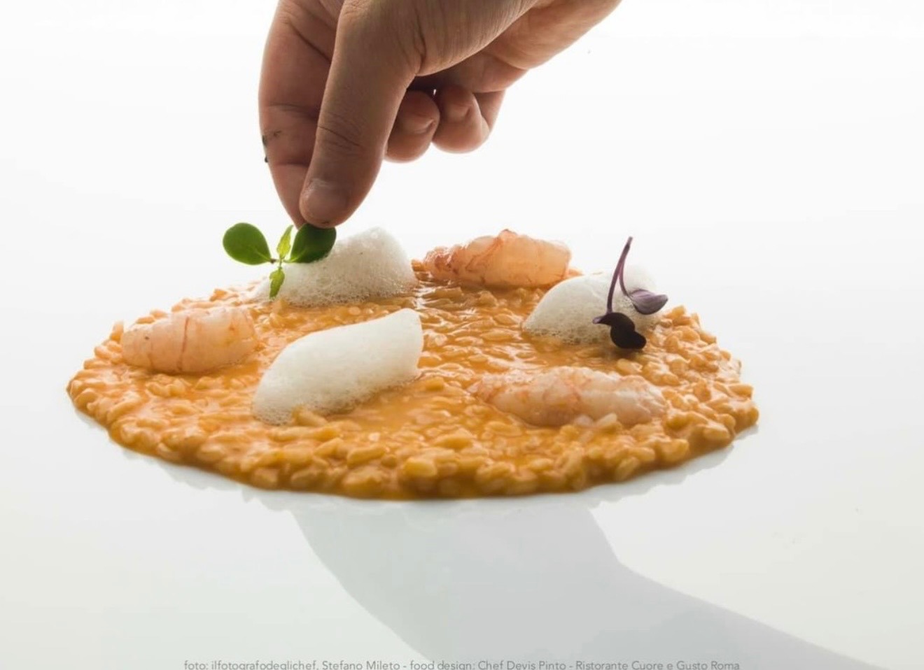 IMG_0052.jpeg IMG_0052.jpeg