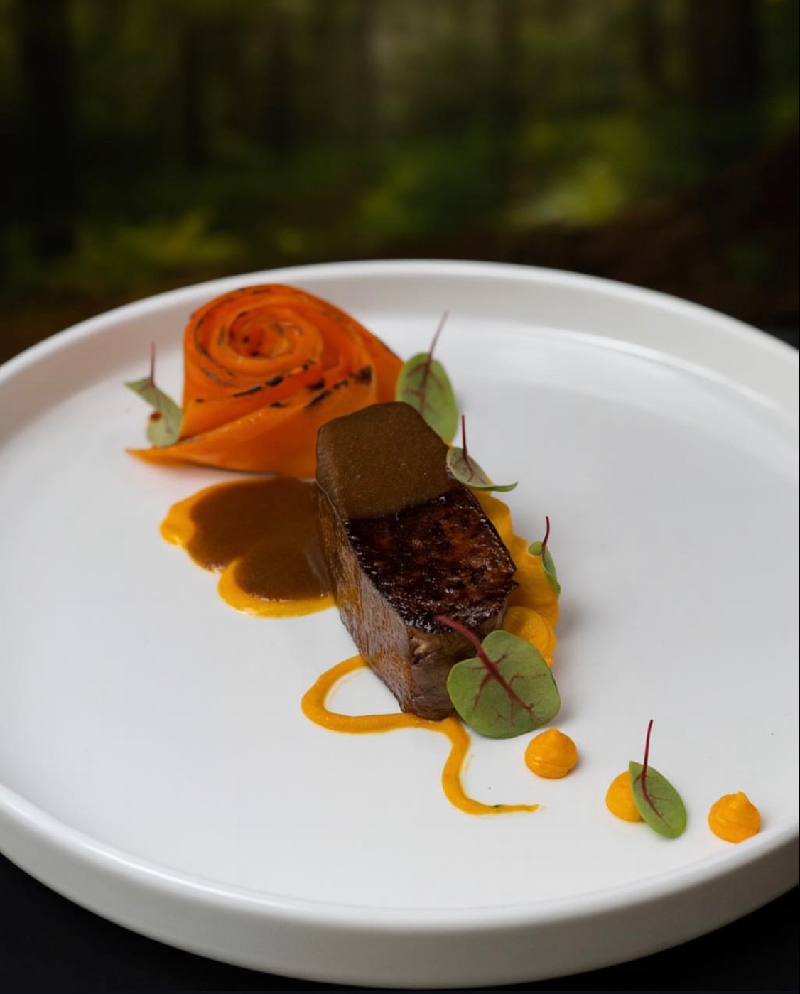 IMG_0047.jpeg IMG_0047.jpeg