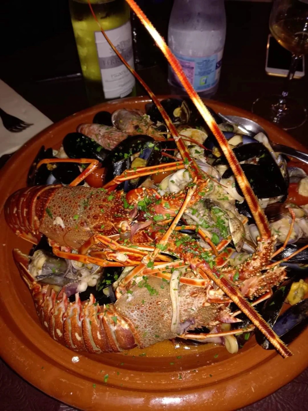 inbound7421609512180709390.jpg inbound7421609512180709390.jpg