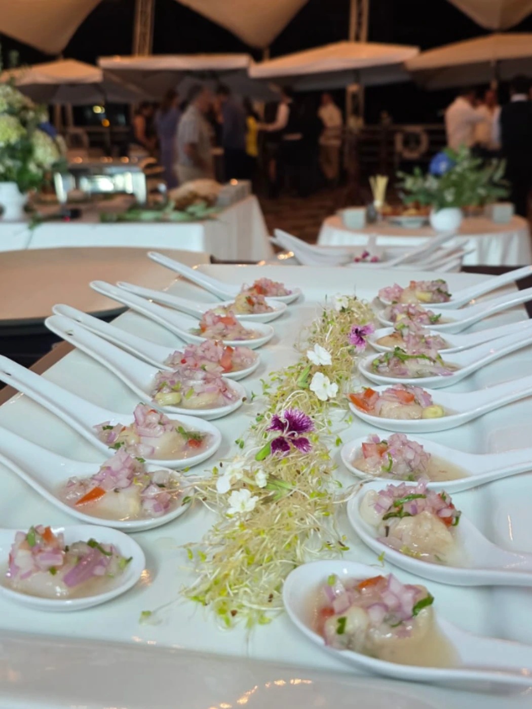 WhatsApp Image 2025-12-22 at 11.55.12 AM (1).jpeg