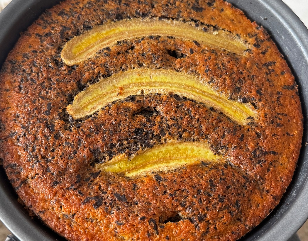 IMG_5107.jpeg IMG_5107.jpeg