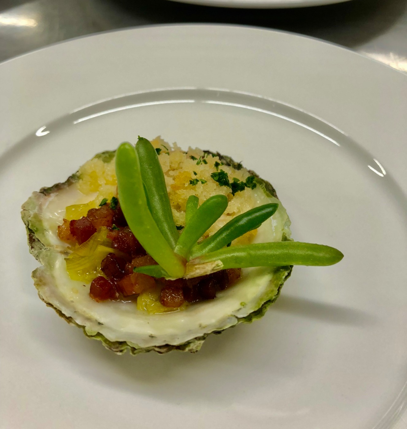 IMG_0008.jpeg IMG_0008.jpeg