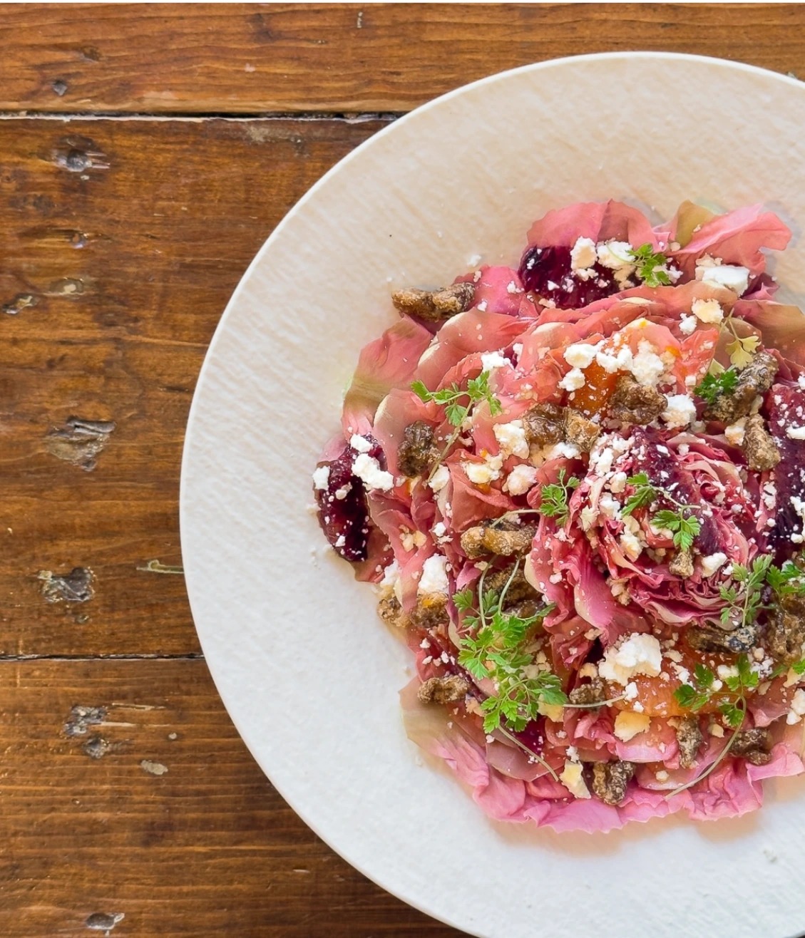 IMG_0816.jpeg IMG_0816.jpeg